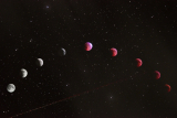 Astrology in 2025: An Industry Review and Outlook